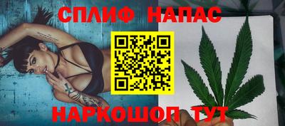 Альфа ПВП Донской
