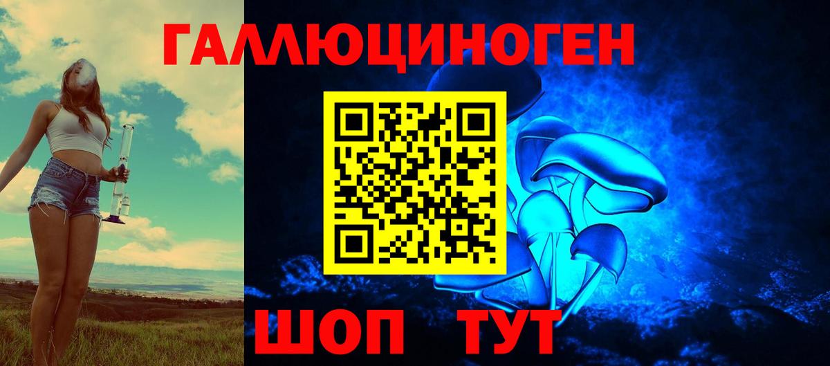 Михайловка  Псилоцибиновые грибы Psilocybine cubensis  Вход с VPN  Галлюциногенные грибы Psilocybine cubensis 